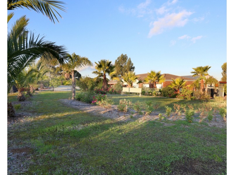 212 Williams Road, Gould Creek SA 5114