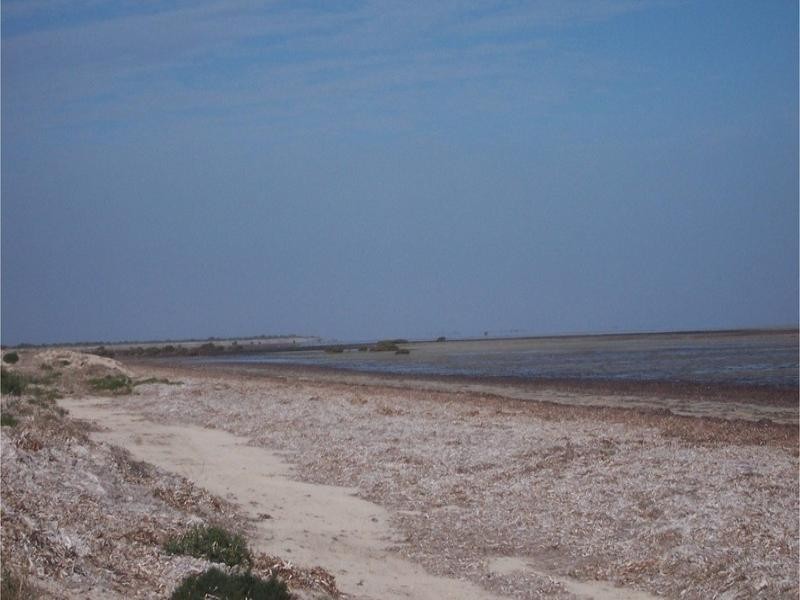 Thompson Beach SA 5501