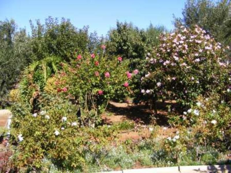 Lot 3 Sheedy Road, Virginia SA 5120