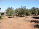 Lot 3 Sheedy Road, Virginia SA 5120