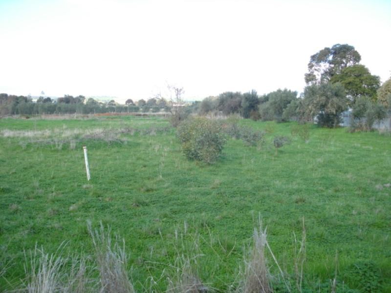 Lot 58 Panes Road, Kudla SA 5115