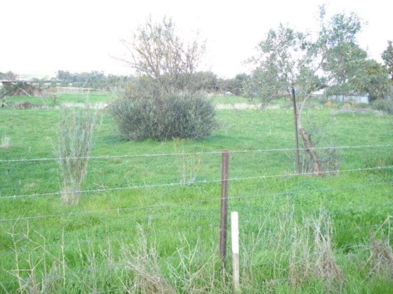 Lot 58 Panes Road, Kudla SA 5115