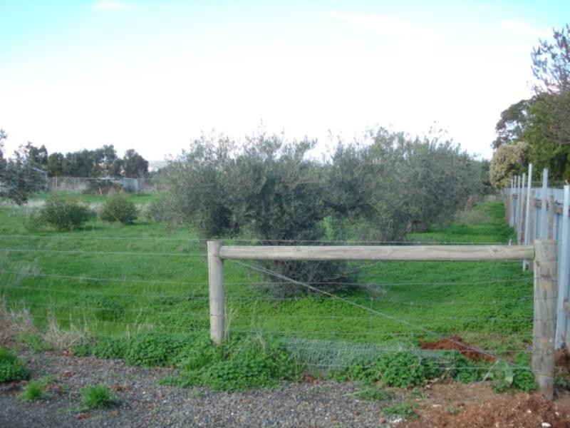 Lot 58 Panes Road, Kudla SA 5115