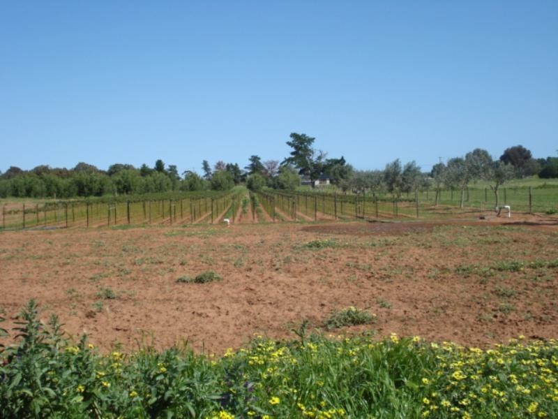 Lot 17 Clover Glen Road, Kudla SA 5115