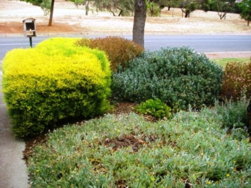 4 CherryTree Cresent, Blakeview SA 5114