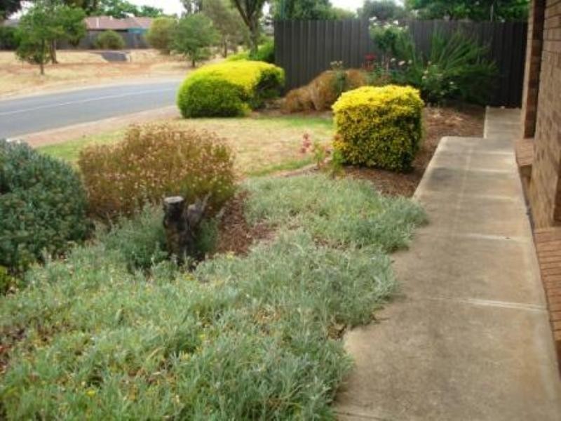 4 CherryTree Cresent, Blakeview SA 5114