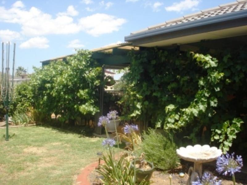 1 Crawford Grove, Andrews Farm SA 5114