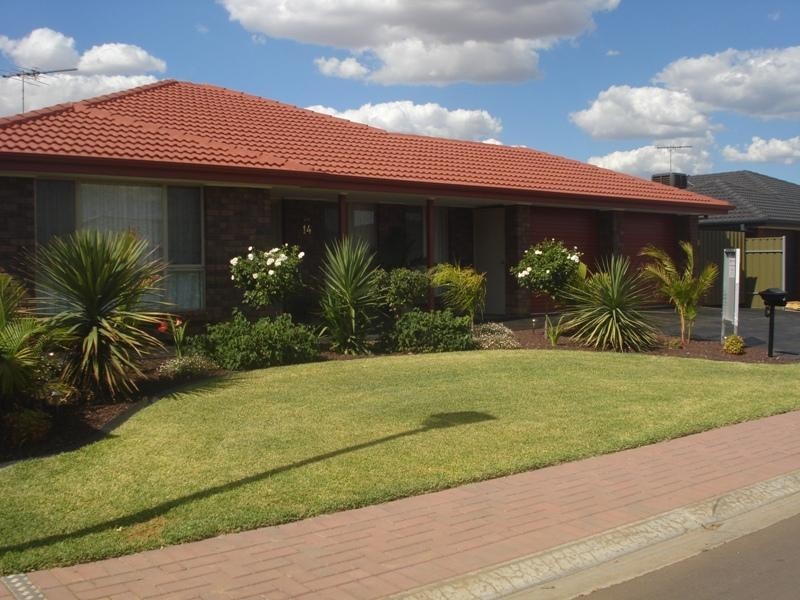 Andrews Farm SA 5114