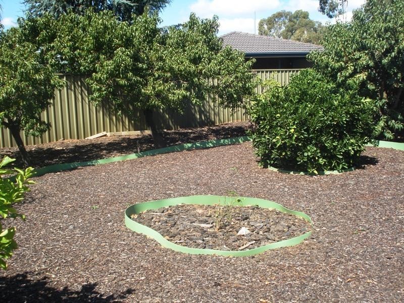 Andrews Farm SA 5114