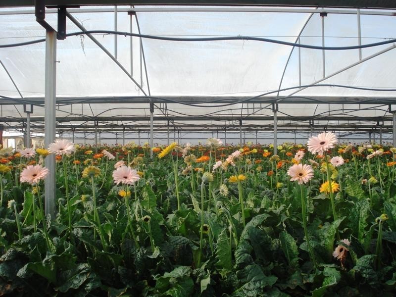 Macdonald Park SA 5121