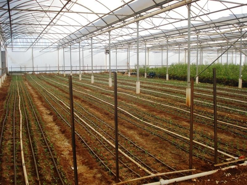 Macdonald Park SA 5121