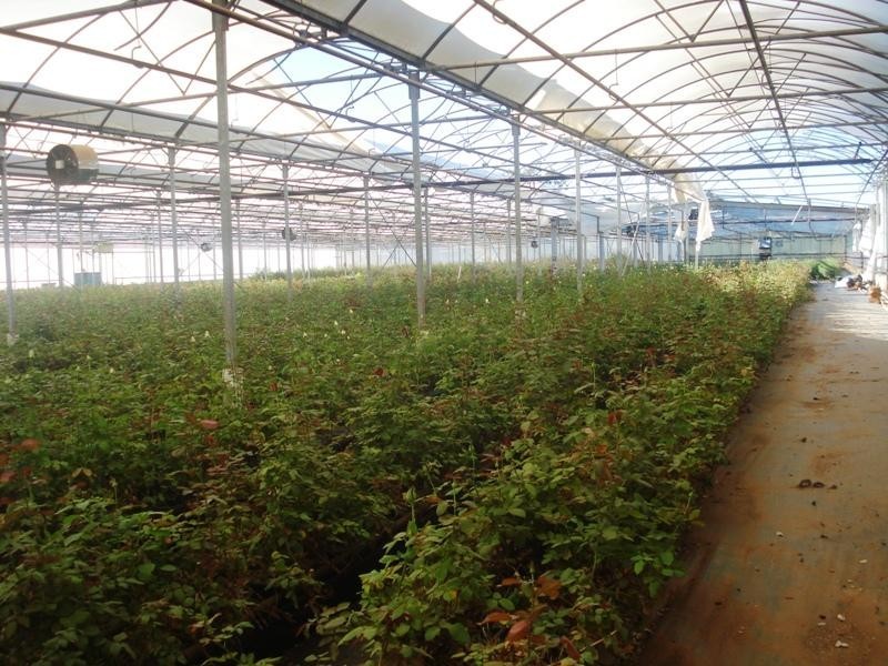 Macdonald Park SA 5121