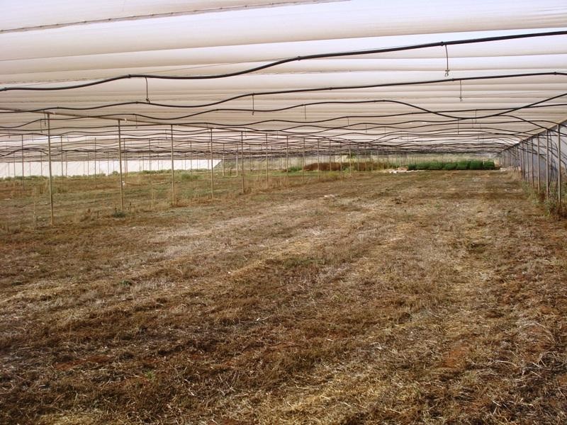 Macdonald Park SA 5121