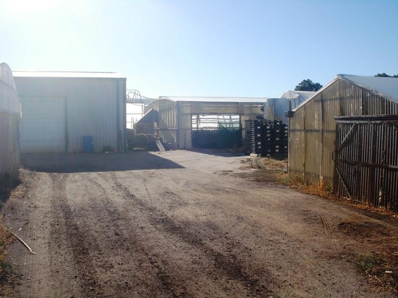 Macdonald Park SA 5121