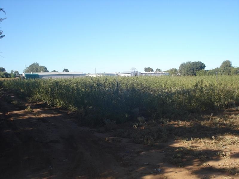 Macdonald Park SA 5121