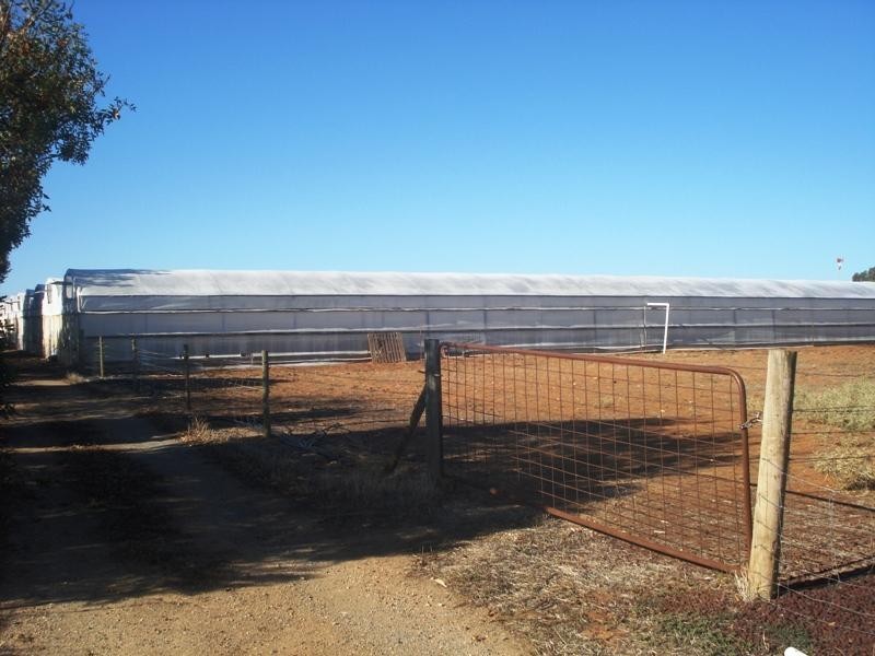 Macdonald Park SA 5121