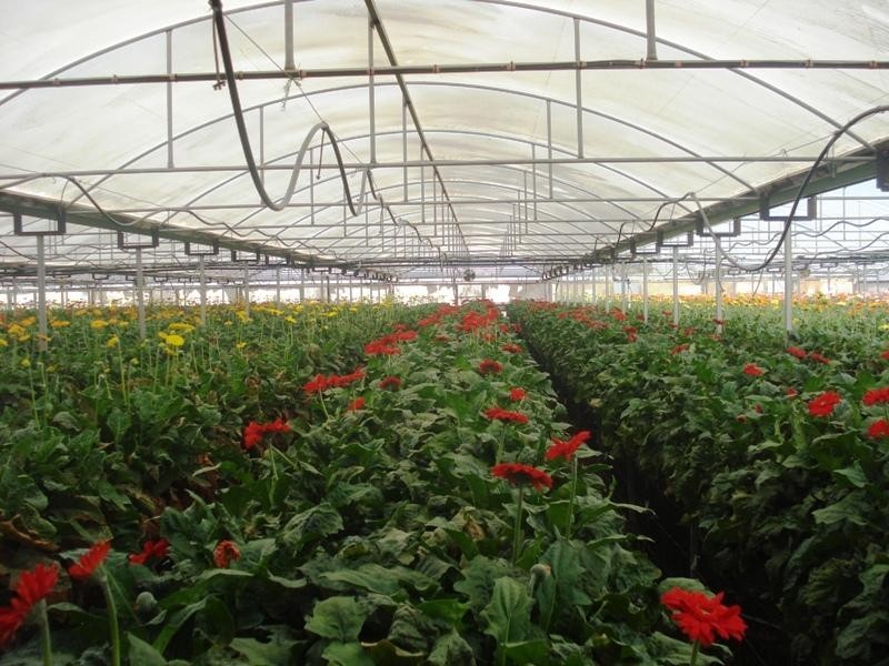 Macdonald Park SA 5121