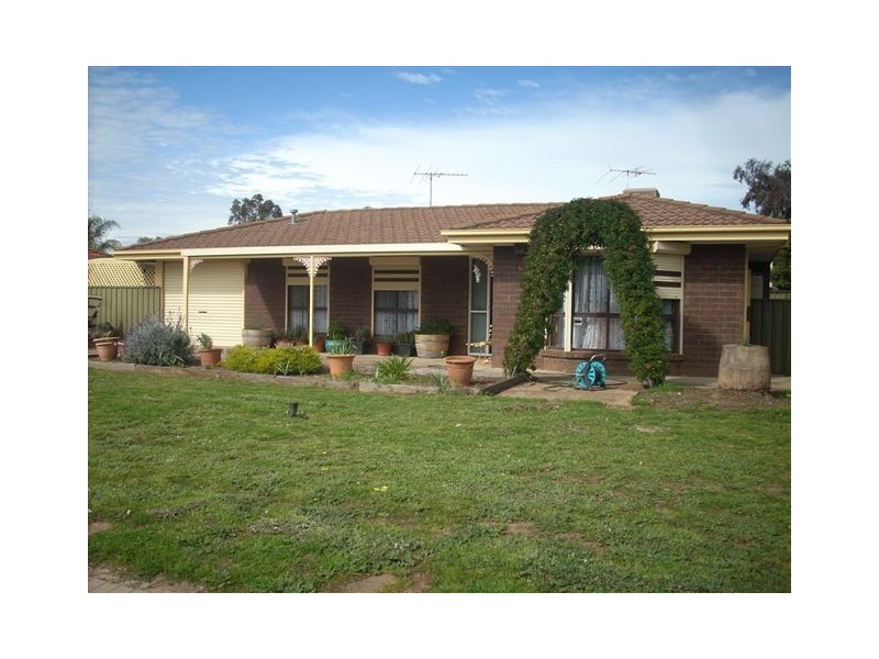 29 President Avenue, Andrews Farm SA 5114