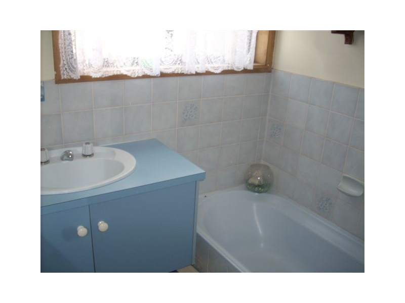 29 President Avenue, Andrews Farm SA 5114