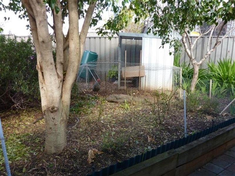 8 Riverglen Court, Blakeview SA 5114