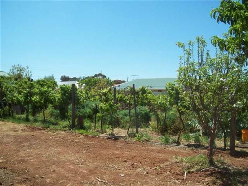 95 Chellaston Road, Munno Para West SA 5115