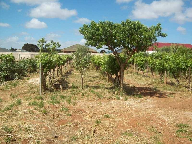 95 Chellaston Road, Munno Para West SA 5115