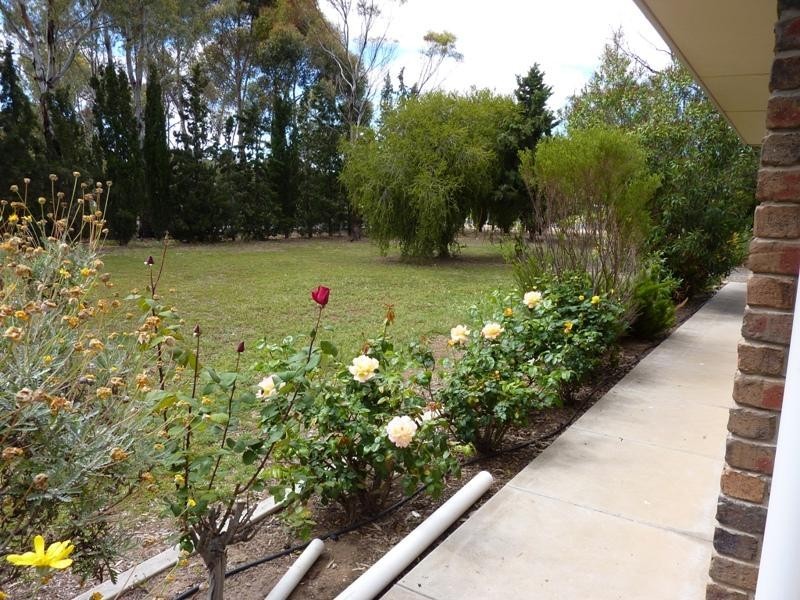 97 Dawkins Road, Lewiston SA 5501