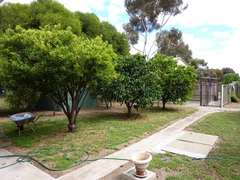 97 Dawkins Road, Lewiston SA 5501