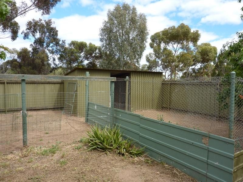 97 Dawkins Road, Lewiston SA 5501