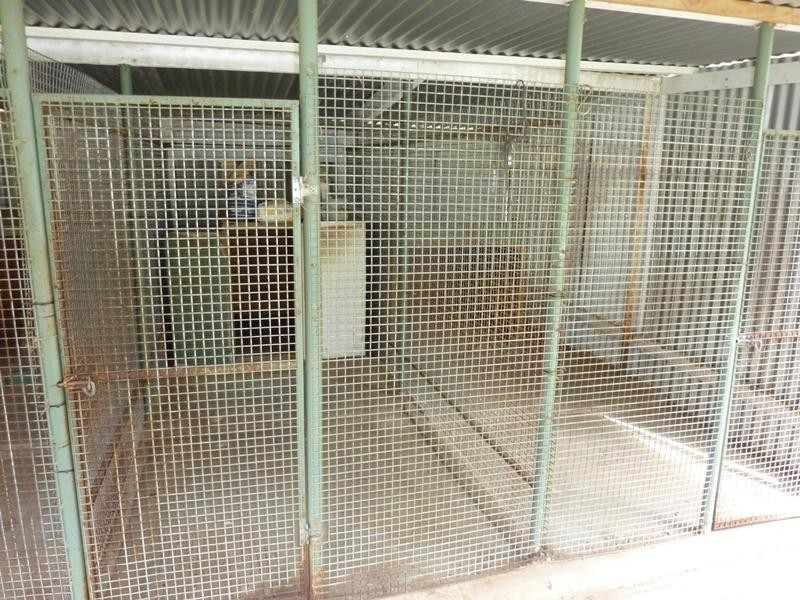 97 Dawkins Road, Lewiston SA 5501