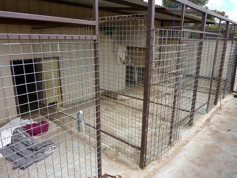 97 Dawkins Road, Lewiston SA 5501