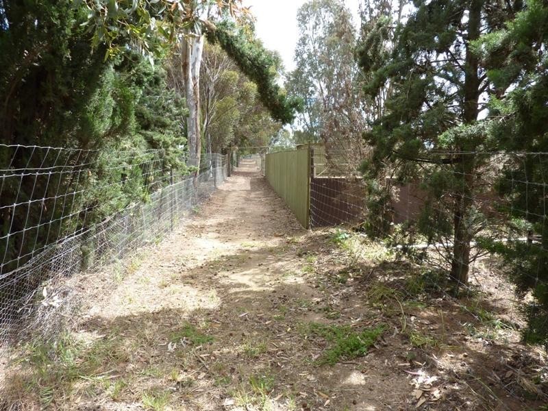 97 Dawkins Road, Lewiston SA 5501