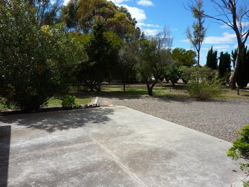 97 Dawkins Road, Lewiston SA 5501