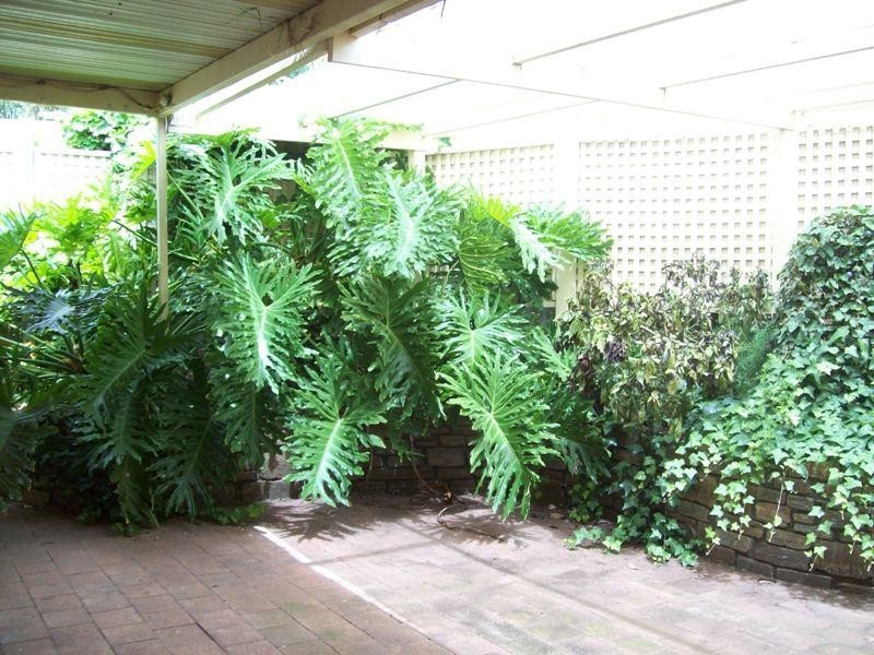 2 Munro Court, Salisbury Heights SA 5109