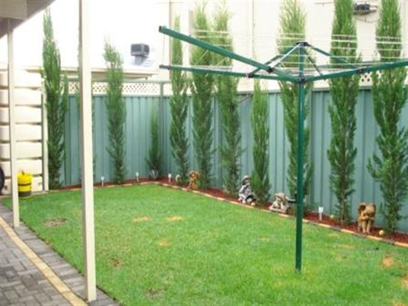 4 Ibis Street, Mawson Lakes SA 5095