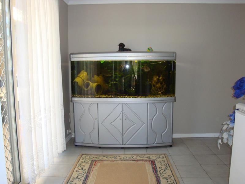 6 Dolphin Street, Elizabeth East SA 5112