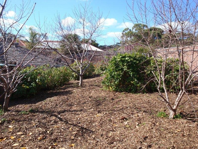 10 Jenolan Crescent, Hillbank SA 5112