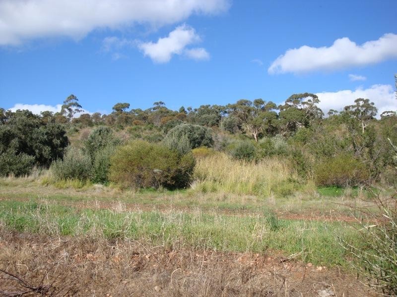 10 Jenolan Crescent, Hillbank SA 5112