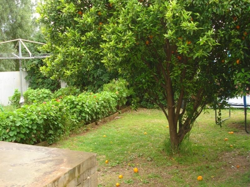 11 and 13 Daniel Street, Elizabeth Park SA 5113