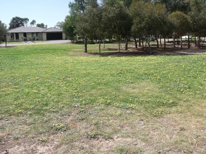 6 Dawn Close, Andrews Farm SA 5114