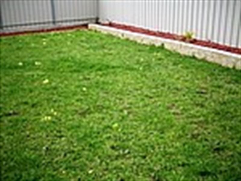 18 Burwood Road, Munno Para West SA 5115