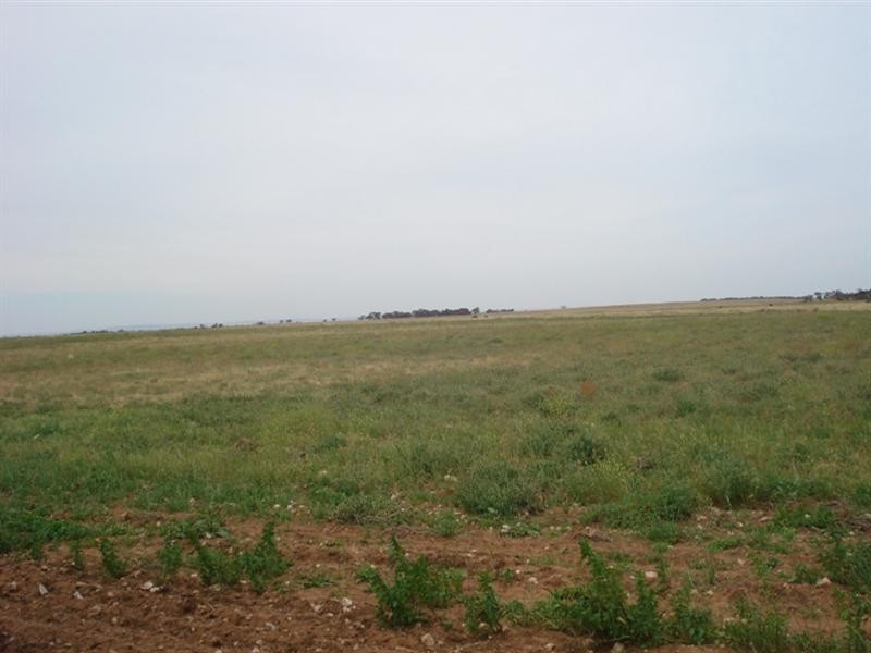 Lot 832 Carslake Road, Dublin SA 5501
