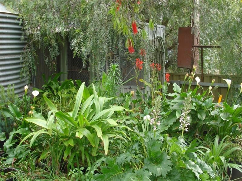 Lot 832 Carslake Road, Dublin SA 5501