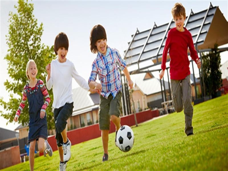 80 Murray Road, Willaston SA 5118