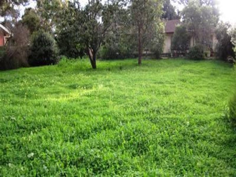 17 Cockshell Drive, Gawler East SA 5118