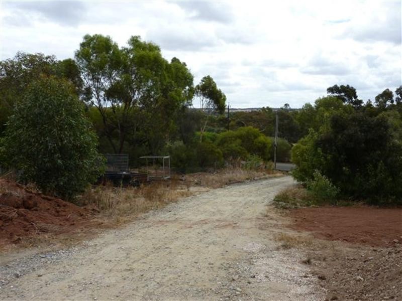 Lot 234 Bethel Road, Kapunda SA 5373