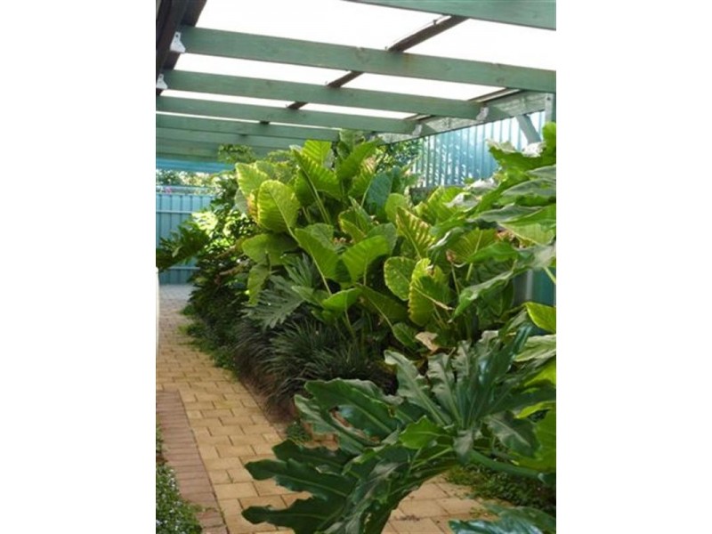 8 Smith Street, Blakeview SA 5114