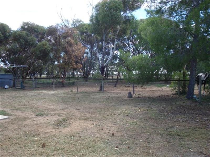 1 Windmill Road, Two Wells SA 5501