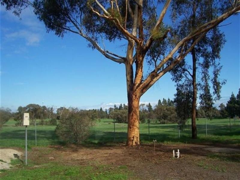 3134 Main North Road, Evanston South SA 5116