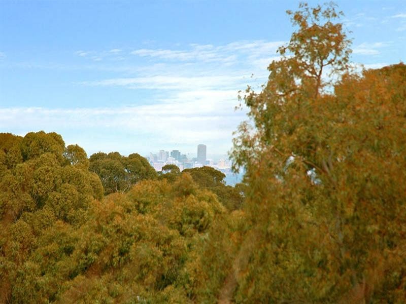 1 Erica Street, Tea Tree Gully SA 5091